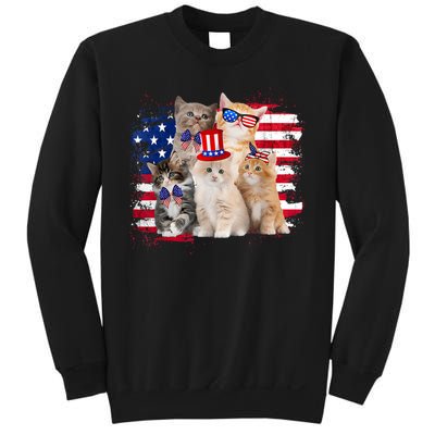 Funny Cat Patriotic USA Cat Lovers Cat Moms 4th July Sweatshirt