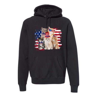 Funny Cat Patriotic USA Cat Lovers Cat Moms 4th July Premium Hoodie