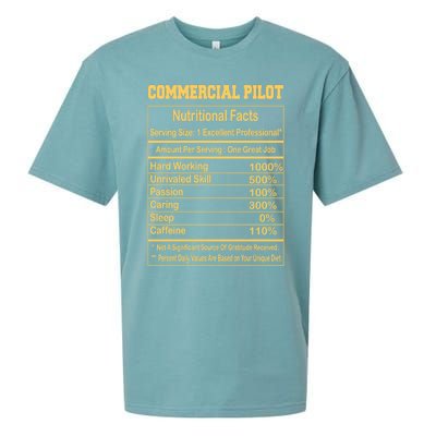 Funny Commercial Pilot Nutritional Facts Motivational Quote Cute Gift Sueded Cloud Jersey T-Shirt