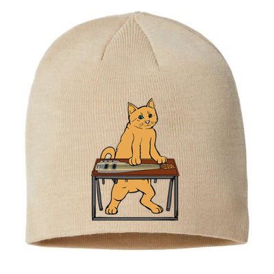 Funny Cat Playing Pedal Steel Country Blues Sustainable Beanie