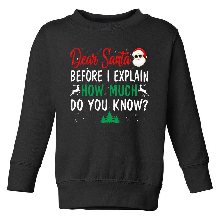 Funny Christmas Pajama Dear Santa I Can Explain  Toddler Sweatshirt