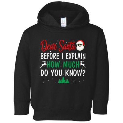 Funny Christmas Pajama Dear Santa I Can Explain  Toddler Hoodie