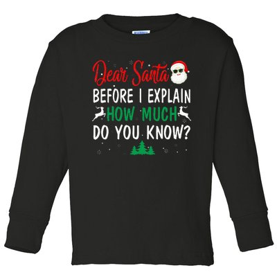 Funny Christmas Pajama Dear Santa I Can Explain  Toddler Long Sleeve Shirt