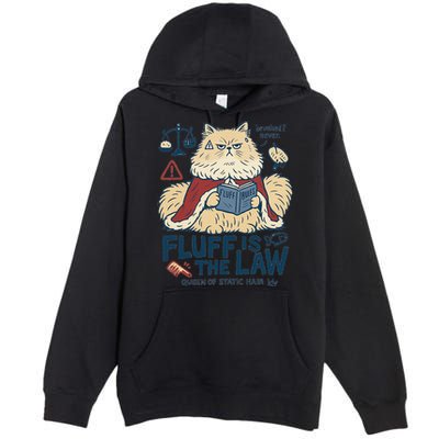 Fluffy Cat Queen Of Static Hair Gift Premium Pullover Hoodie