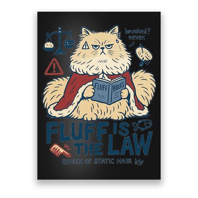 Fluffy Cat Queen Of Static Hair Gift Poster