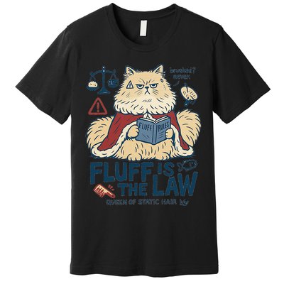 Fluffy Cat Queen Of Static Hair Gift Premium T-Shirt