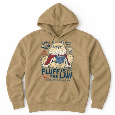 Fluffy Cat Queen Of Static Hair Gift Hoodie