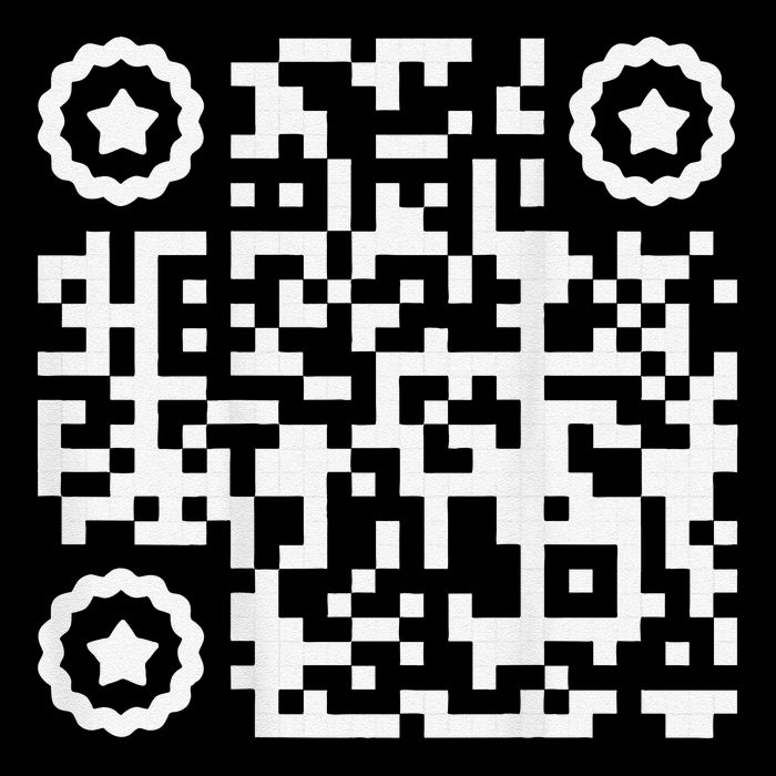 Funny Cat Qr Scan Code Jokes Humor Hidden Message Sarcastic Daily Commute Backpack