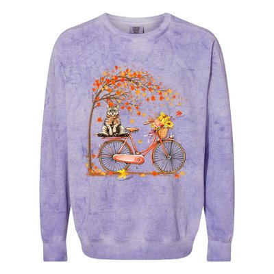 Funny Cute Retro Bicycle Cat Autumn Leaves Fall Thanksgiving Colorblast Crewneck Sweatshirt