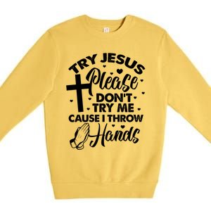 Funny Christian Religious Try Jesus Please DonT Try Me Premium Crewneck Sweatshirt