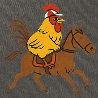 Funny Chicken Rooster Wearing Jockey Cap Riding Race Horse Cotton Canvas Backpack