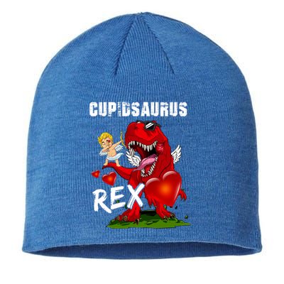 Funny Cupidsaurus Rex Dabbing Cupid Dinosaur Valentine's Day Gift Sustainable Beanie