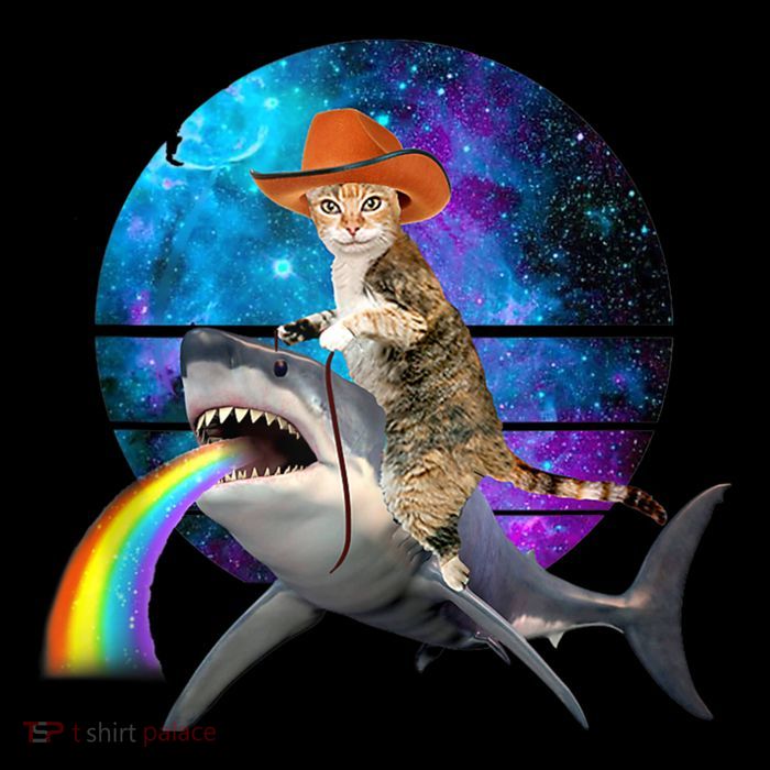 Funny Cat Riding Shark Puking Rainbow Galaxy Space Humor Pun Ank Op Flatbill Hat