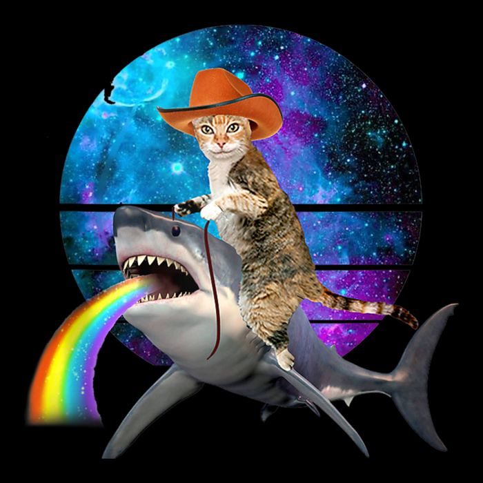 Funny Cat Riding Shark Puking Rainbow Galaxy Space Humor Pun Ank Op 16 in Basic Backpack