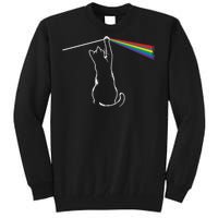 Funny Cat Rock Music Gift Funny Cat Tall Sweatshirt