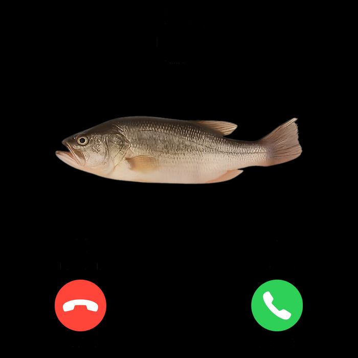 Fih Calling Remind Me Message Decline Accept Phone Call Fish Mug