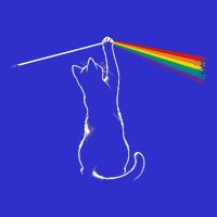 Funy Cat Rock Music Apron