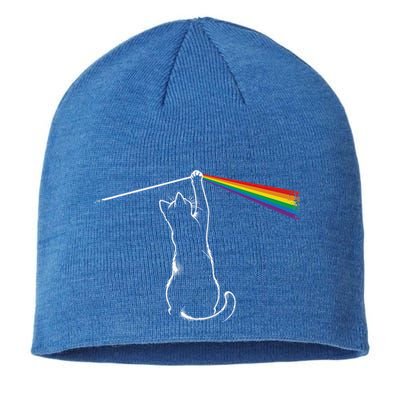 Funy Cat Rock Music Sustainable Beanie