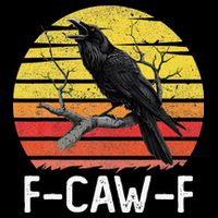 Funny Crow Retro Sunset Moonlit Raven Lovers F Caw F Womens T-Shirt