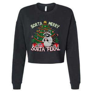 Funny Christmas Raccoon Sorta Merry Sorta Santa Feral Xmas Cropped Pullover Crew