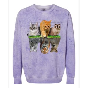 Fun Cat Reflection Gift Design Idea Cute Gift Colorblast Crewneck Sweatshirt