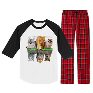 Fun Cat Reflection Gift Design Idea Cute Gift Raglan Sleeve Pajama Set