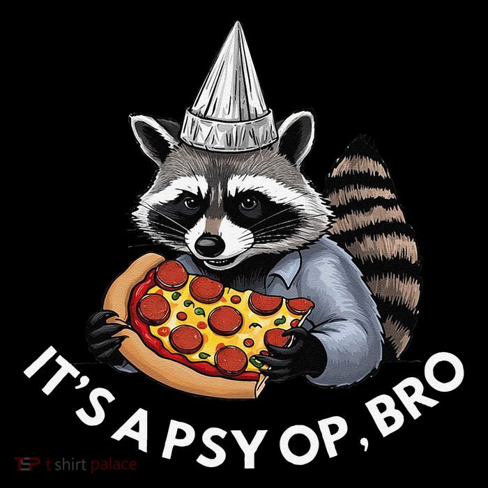 Funny Conspiracy Racoon In A Tin Foil Hat ItS A Psy Op Bro Women's V-Neck T-Shirt