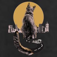 Funny City Road Highway Cat Beanie
