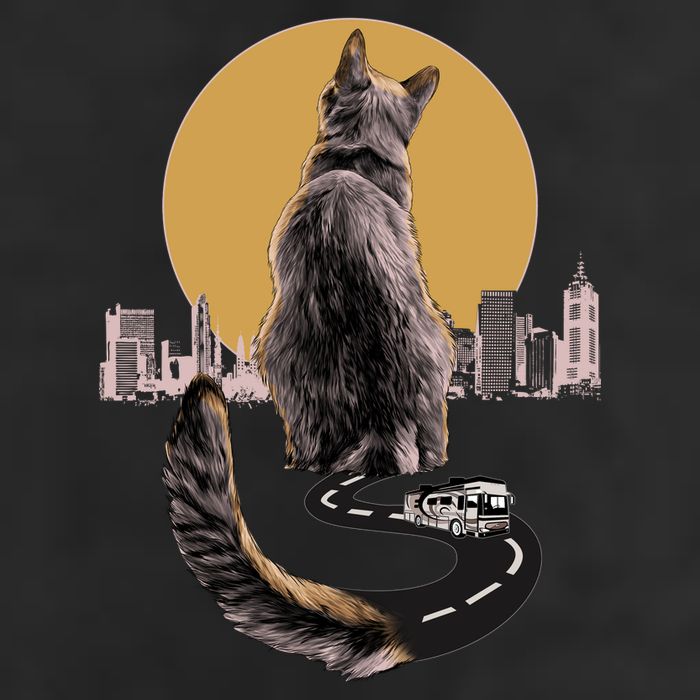 Funny City Road Highway Cat Beanie