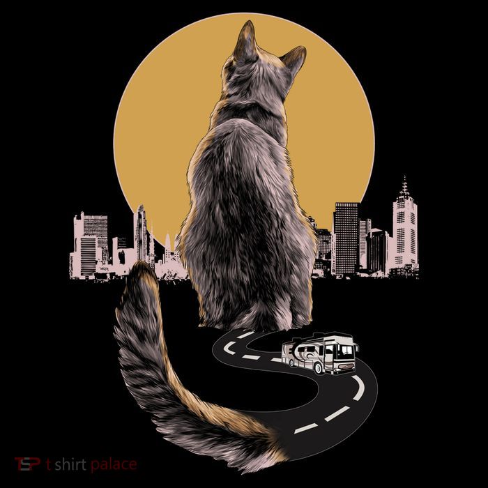 Funny City Road Highway Cat Women's V-Neck T-Shirt