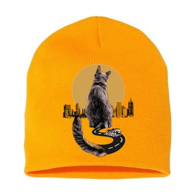 Funny City Road Highway Cat Short Acrylic Beanie