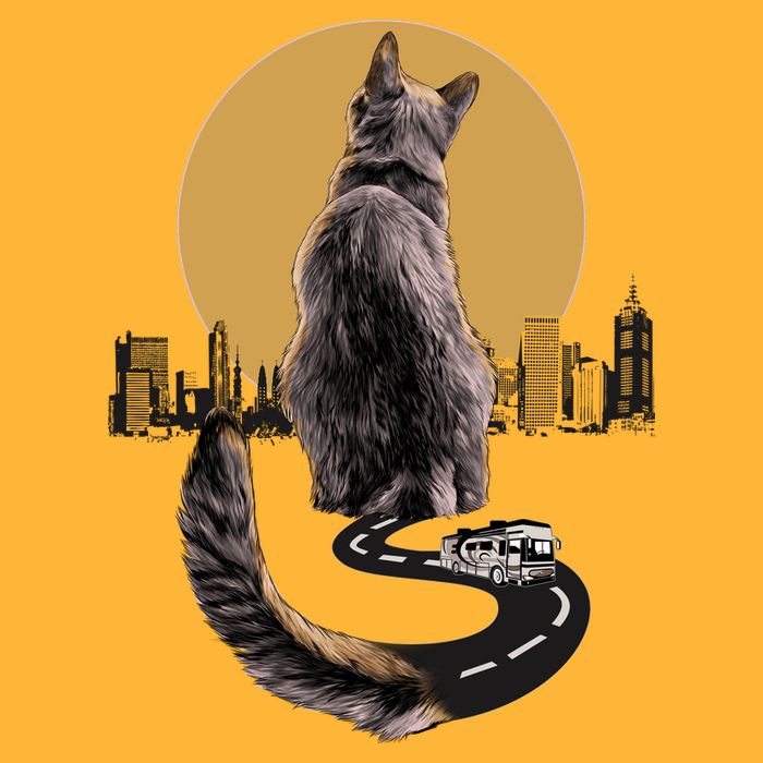 Funny City Road Highway Cat Kids T-Shirt