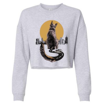 Funny City Road Highway Cat Cropped Pullover Crew