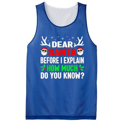 Funny Christmas Reindeer Dear Santa I Can Explain Cool Gift Mesh Reversible Basketball Jersey Tank