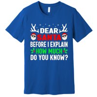 Funny Christmas Reindeer Dear Santa I Can Explain Cool Gift Premium T-Shirt