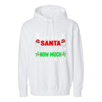 Funny Christmas Reindeer Dear Santa I Can Explain Cool Gift Garment-Dyed Fleece Hoodie