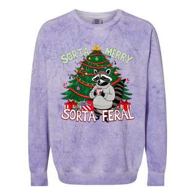 Funny Christmas Raccoon Sorta Merry Sorta Santa Feral Xmas Colorblast Crewneck Sweatshirt