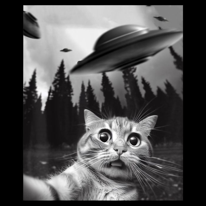 Funny Cat Selfie With UFOs 7-Panel Snapback Hat