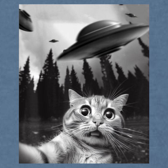 Funny Cat Selfie With UFOs Garment-Dyed Sweatshirt