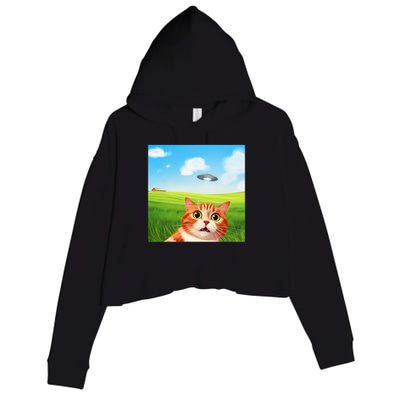 Funny Cat Selfie With Ufo Kitty Alien Encounter Crop Fleece Hoodie