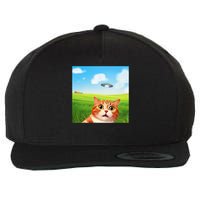 Funny Cat Selfie With Ufo Kitty Alien Encounter Wool Snapback Cap