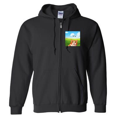 Funny Cat Selfie With Ufo Kitty Alien Encounter Full Zip Hoodie