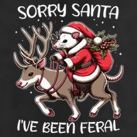Funny Christmas Sorry Santa Ive Been Feral Opossum Reindeer 11oz C Handle Ceramic Mug