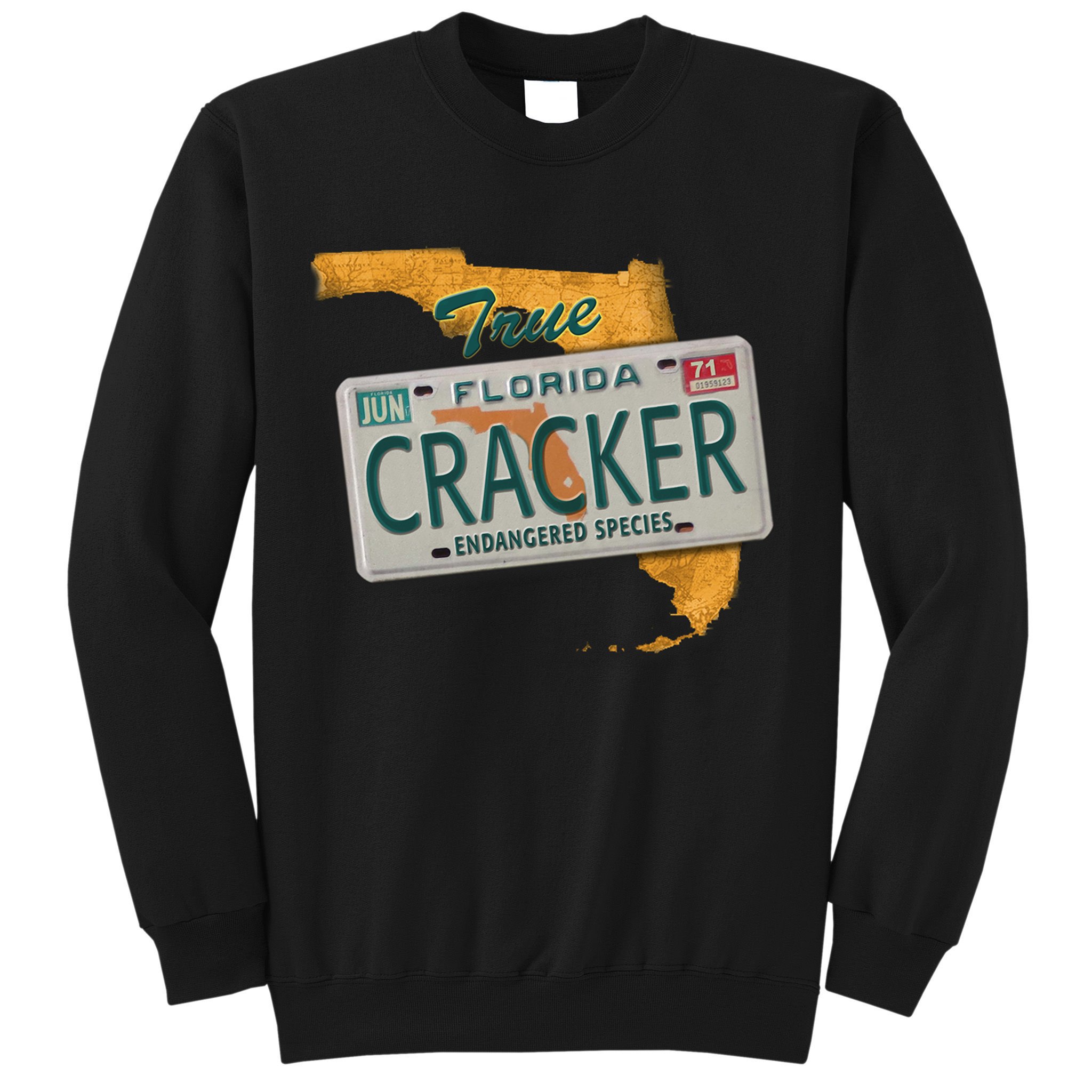 Florida Cracker Shirt Florida Strong Hurricane Ian Support Florida Sweatshirt
