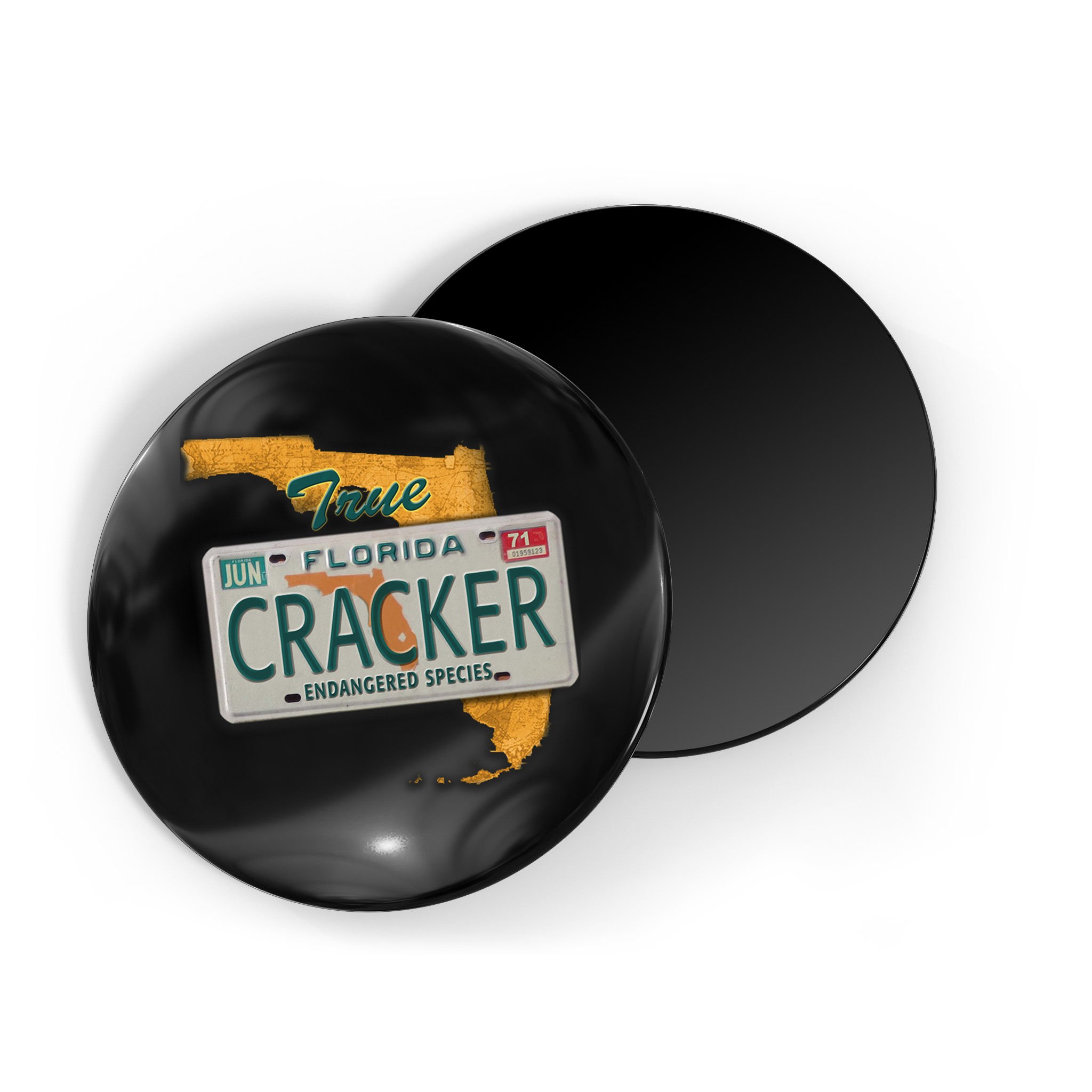 Florida Cracker Shirt Florida Strong Hurricane Ian Support Florida Magnet