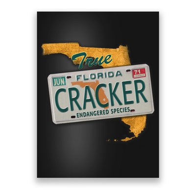 Florida Cracker Shirt Florida Strong Hurricane Ian Support Florida Poster