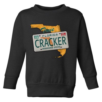 Florida Cracker Shirt Florida Strong Hurricane Ian Support Florida Toddler Sweatshirt