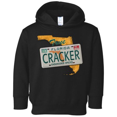 Florida Cracker Shirt Florida Strong Hurricane Ian Support Florida Toddler Hoodie