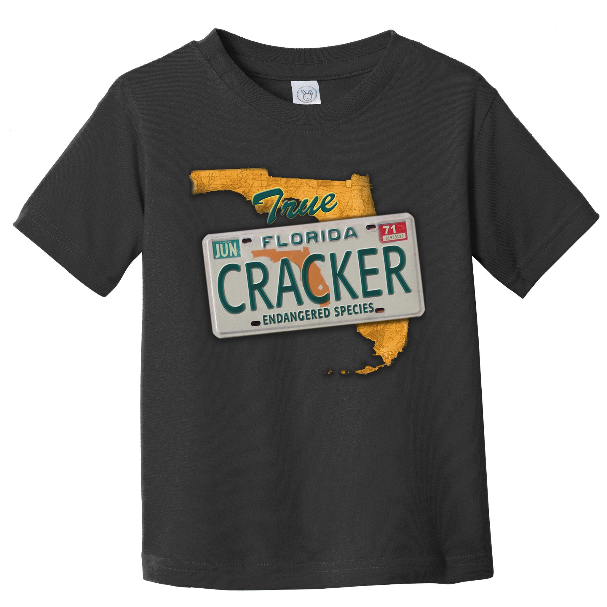 Florida Cracker Shirt Florida Strong Hurricane Ian Support Florida Toddler T-Shirt