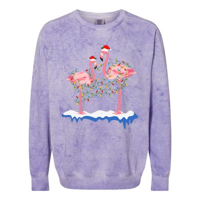 Flamingo Christmas Santa Hat Christmas Lights Flamingo Lover Colorblast Crewneck Sweatshirt